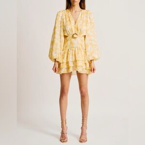 Torn by Ronny Kobo Cassie Ruffled Floral Mini Dress size S